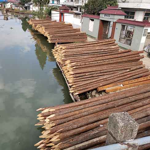 南京驳岸木桩