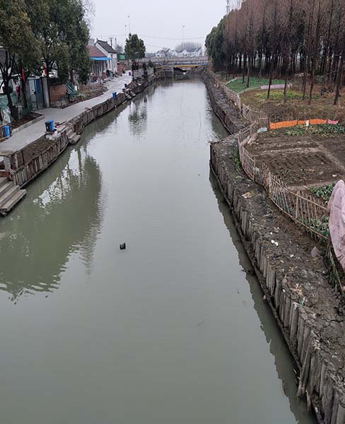 南京河道木桩