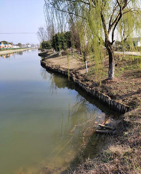 南京河道木桩