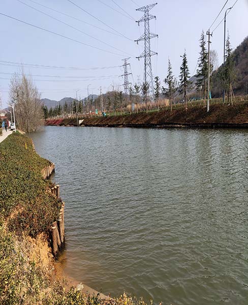 南京河道木桩