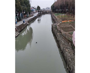 南京南京河道木桩