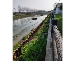 南京南京河道木桩