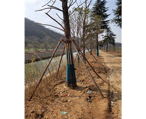 南京南京绿化支撑杆