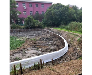 南京南京芜湖市湾沚区水系连通及农村水系综合整治试点县项目